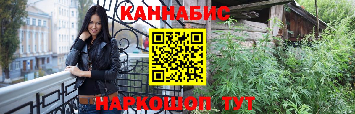 Бошки Шишки сатива Отрадный