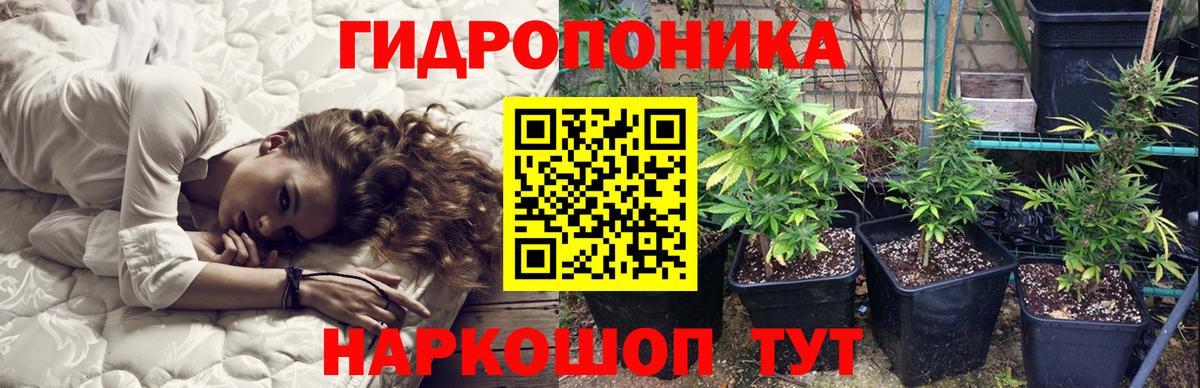 Канабис Ganja  Бошки марихуана план  Вход с VPN  Отрадный  Канабис LSD WEED 